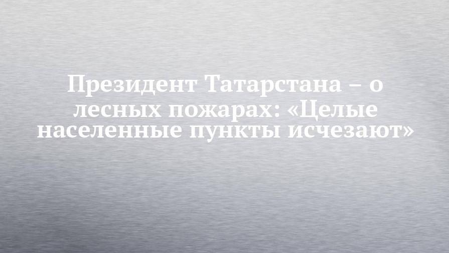 Президент Татарстана – о лесных пожарах: «Целые населенные пункты исчезают»