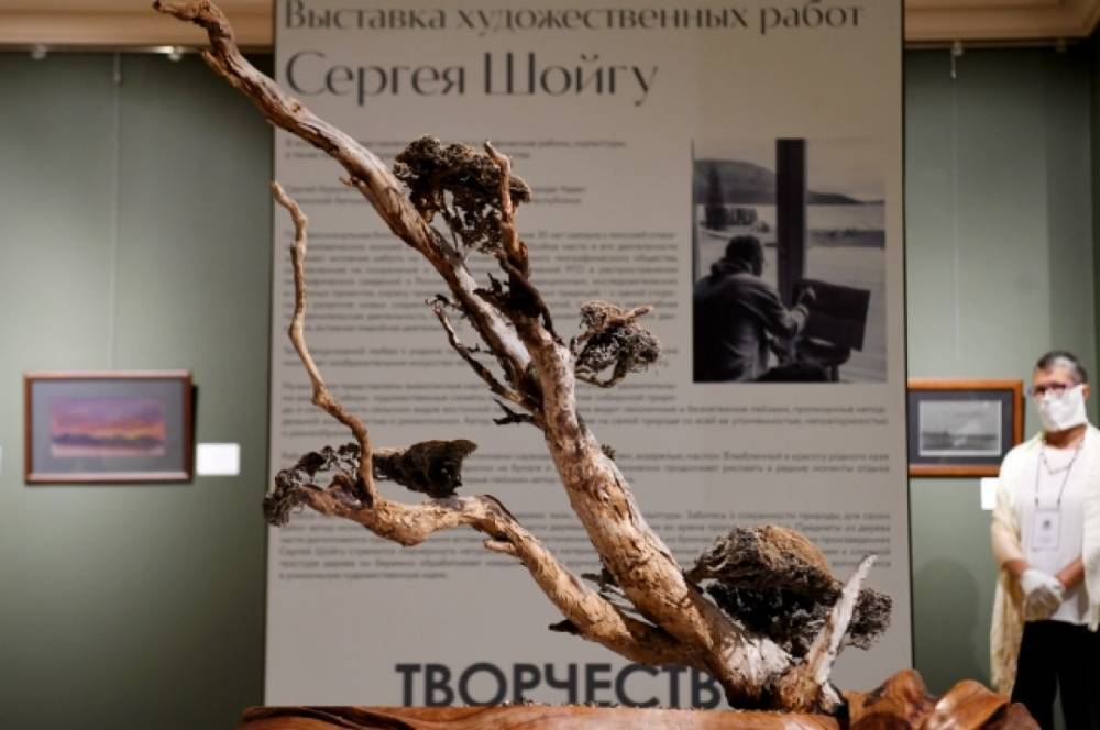 В Казанском Кремле открылась выставка работ Шойгу