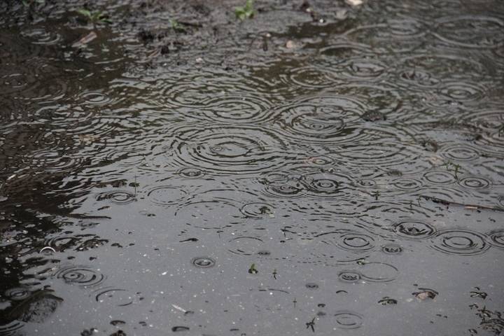 В Рязанской области объявлено грозовое метеопредупреждение
