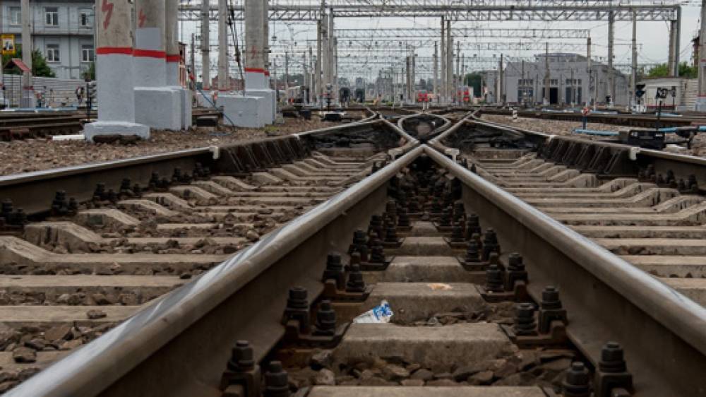 Поезд сбил насмерть двух мужчин в Воронежской области