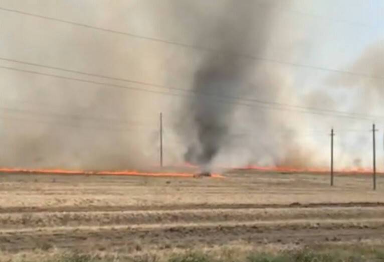 Аномальная жара в Башкирии привела к образованию огненного смерча