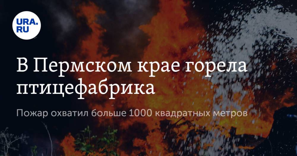 В Пермском крае горела птицефабрика. Пожар охватил больше 1000 квадратных метров