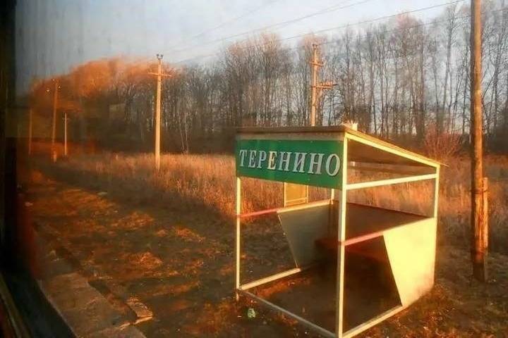 Неизвестные украли туи с кладбища в Смоленской области