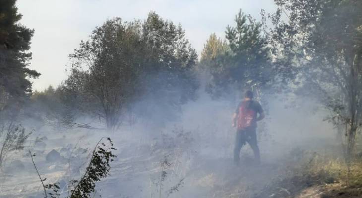 В Чувашии местные жители вместе со спасателями потушили пожар: горели кустарники и сухая трава