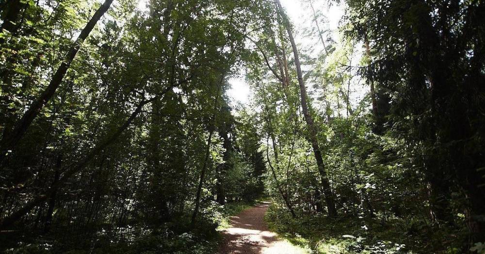 Пожилая калининградка пошла гулять в лес и провалилась в 5-метровый колодец