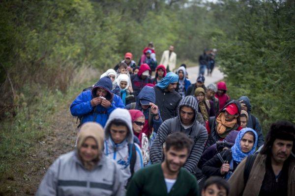Канцлер Австрии: Мы не пустим больше беженцев из Афганистана
