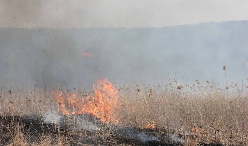 Жители Уфе жалуются на дым и запах гари от природного пожара