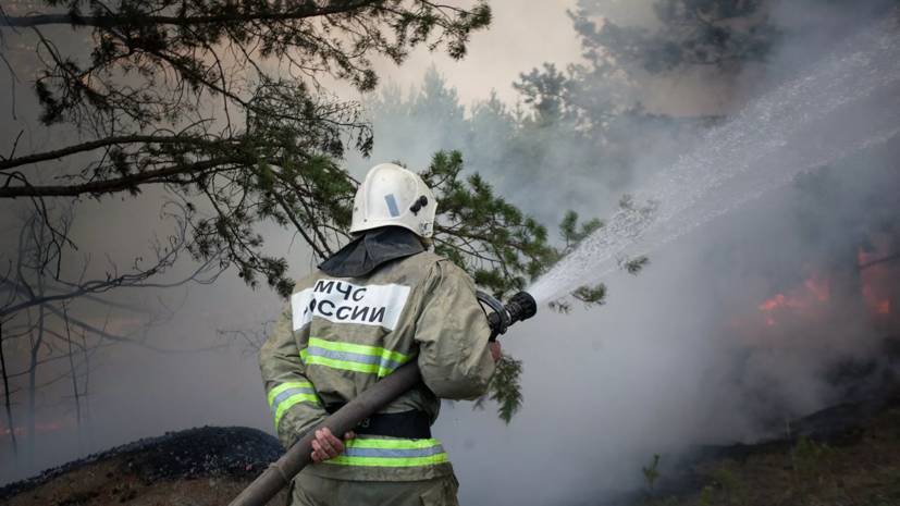 В МЧС назвали площадь природного пожара в Самарской области