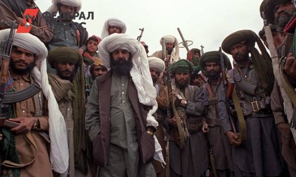 Талибы* пообещали бой в провинции Панджшере