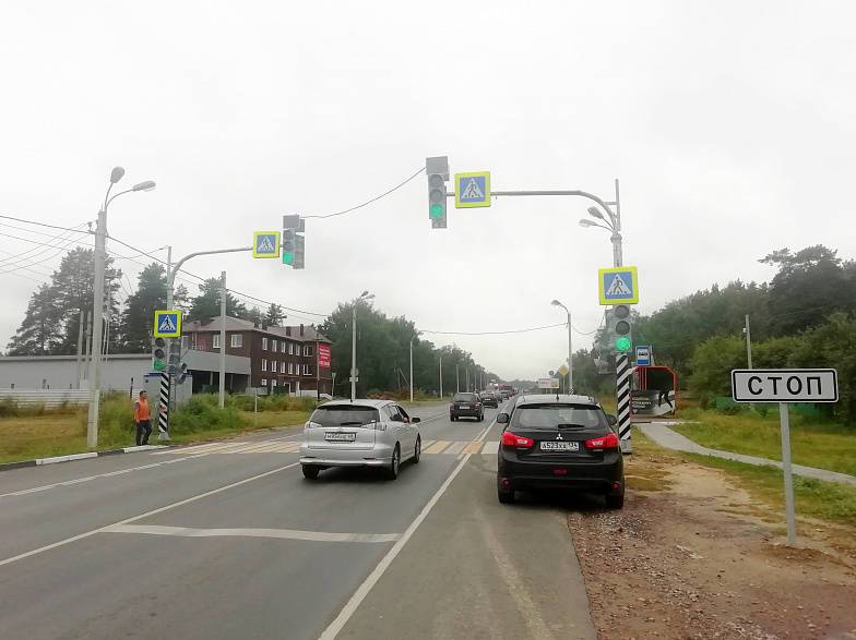 В Ростовской области на трассе А-270 установили два новых пешеходных светофора