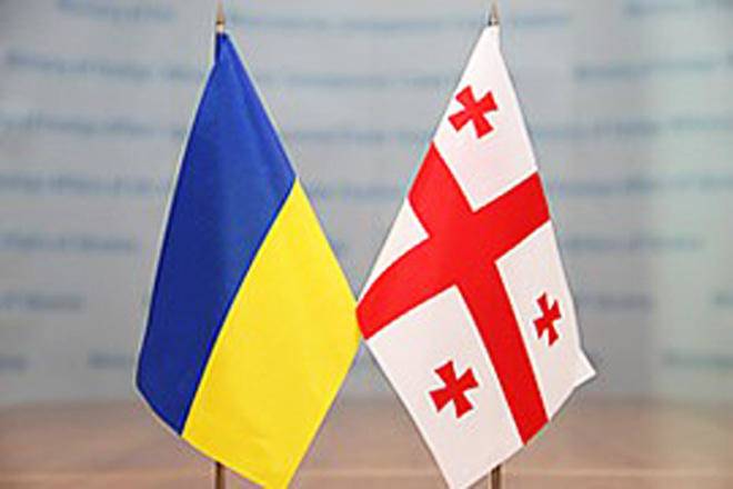 Парламенты Грузии и Украины намерены расширить сотрудничество