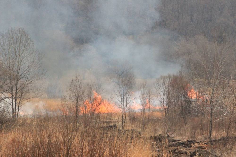 В Хабаровске ожидается высокий уровень пожарной опасности