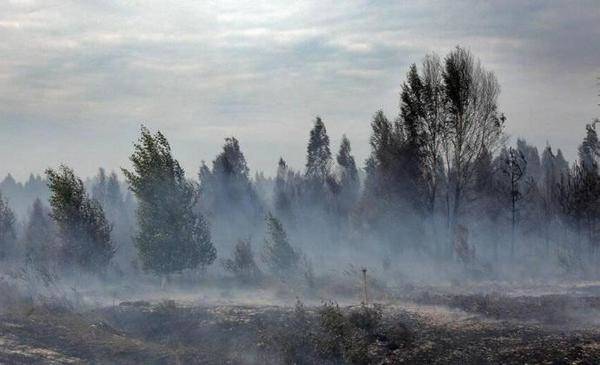 Тюменцы жалуются на смог и запах гари: в МЧС объяснили, что произошло