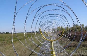 Власти Польши приняли решение построить забор высотой 2,5 метра на границе с Беларусью