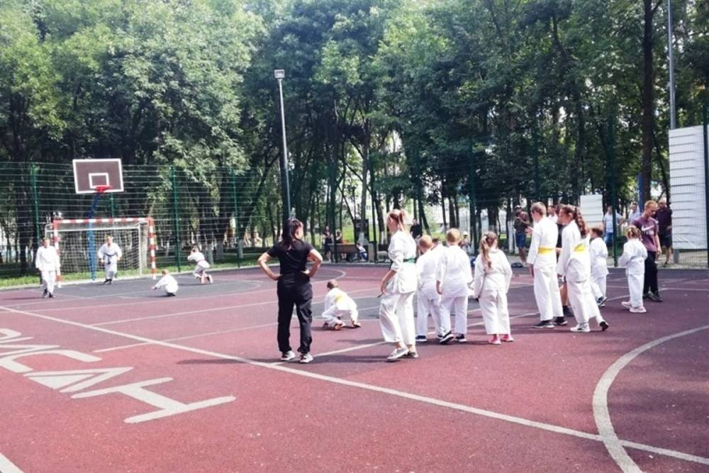 Для юных пензенцев организовали мастер-класс по каратэ