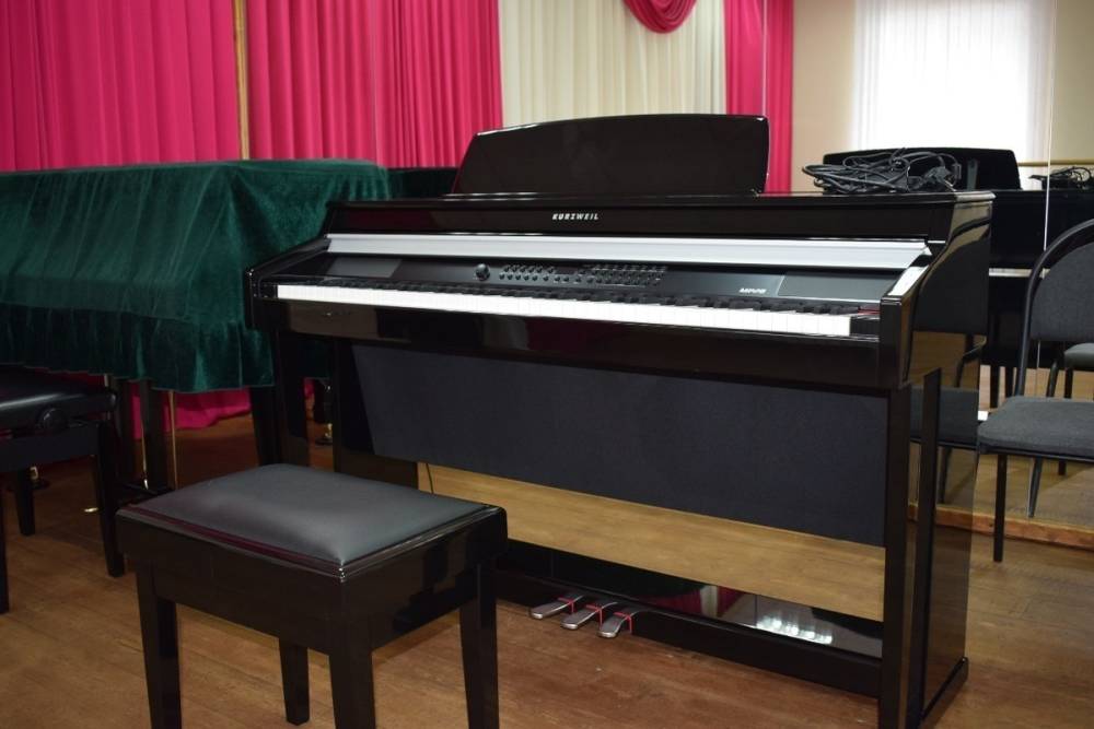 Школа искусств в Борисовке получила 50 музыкальных инструментов