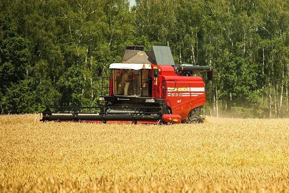 Более 76 тысяч гектаров зерна убрали в Смоленской области