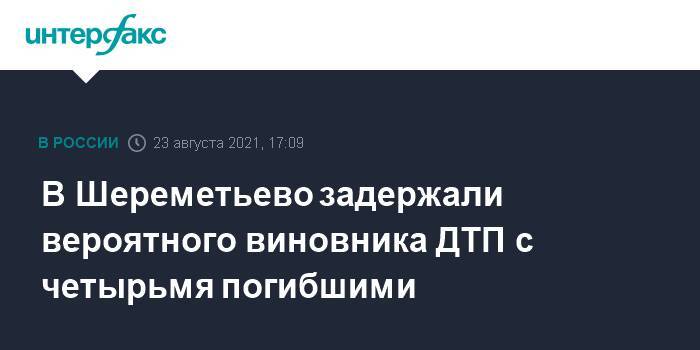 В Шереметьево задержали вероятного виновника ДТП с четырьмя погибшими