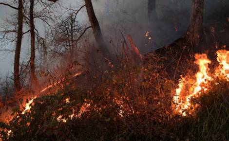 Режим ЧС введен под Оренбургом из-за природного пожара