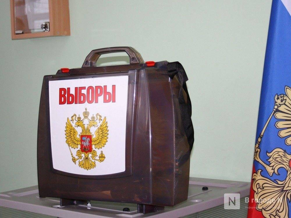 ЦИК исключила нижегородскую журналистку из партийного списка на выборы в Госдуму