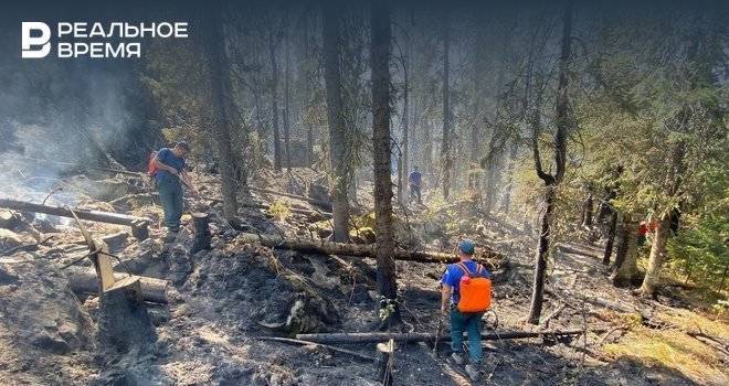 В Башкирии увеличилась площадь лесных пожаров