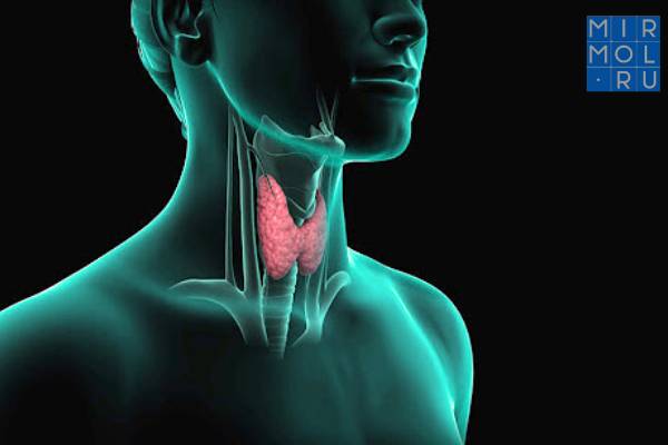 Заболевания щитовидной железы ухудшают течение коронавируса