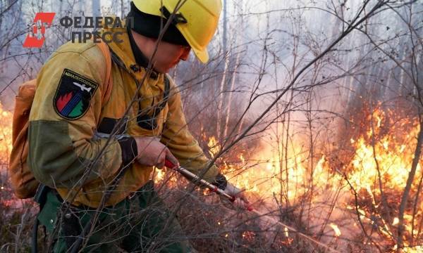 В Свердловской области за сутки удалось потушить девять природных пожаров