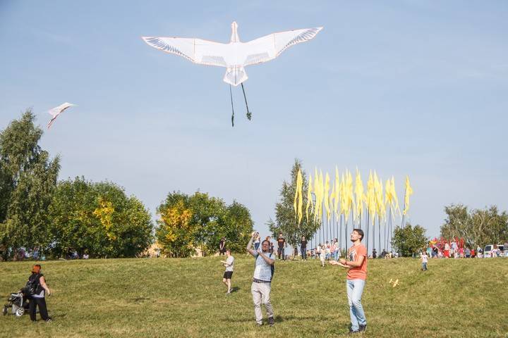 Фестиваль воздушных змеев «ЛеТатлин» пройдет в галерее XXI века