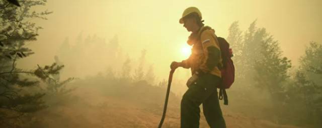 МЧС: В Башкирии за сутки увеличилась площадь лесных пожаров до 1176 гектаров