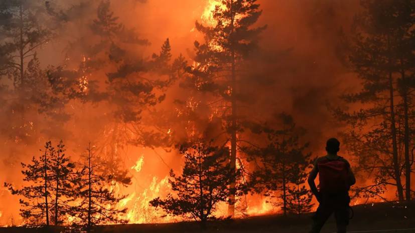 В МЧС Мордовии заявили о пожаре в лесничестве рядом с мордовским заповедником