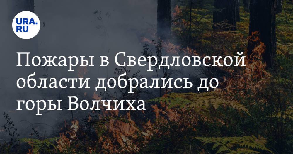 Пожары в Свердловской области добрались до горы Волчиха. Видео