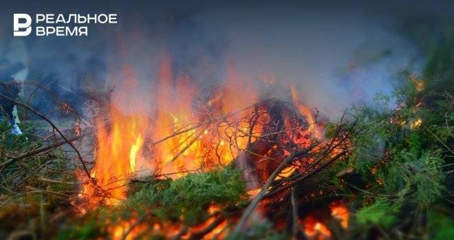 Из-за природного пожара перекрыли федеральную трассу Пермь — Екатеринбург