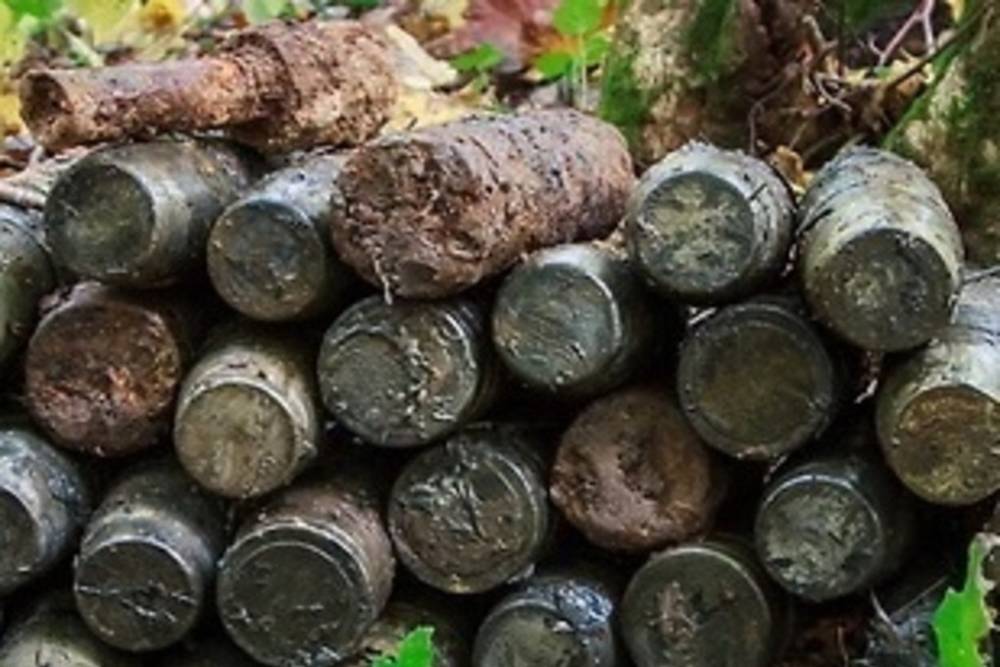В Смоленской области обнаружили 14 боеприпасов времен войны