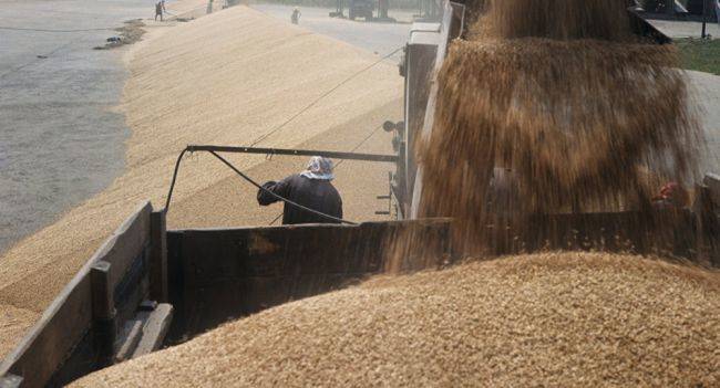 Грузия рассчитывает на пшеницу, предназначавшуюся Афганистану, — вместо российской