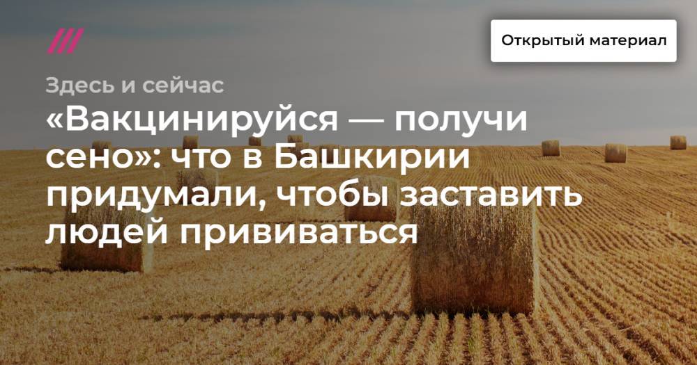 «Вакцинируйся — получи сено»: что в Башкирии придумали, чтобы заставить людей прививаться