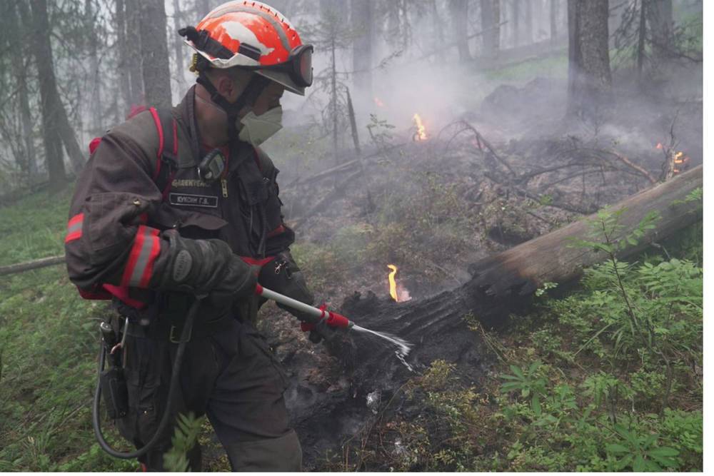 В Якутии за сутки ликвидировано 5 лесных пожаров