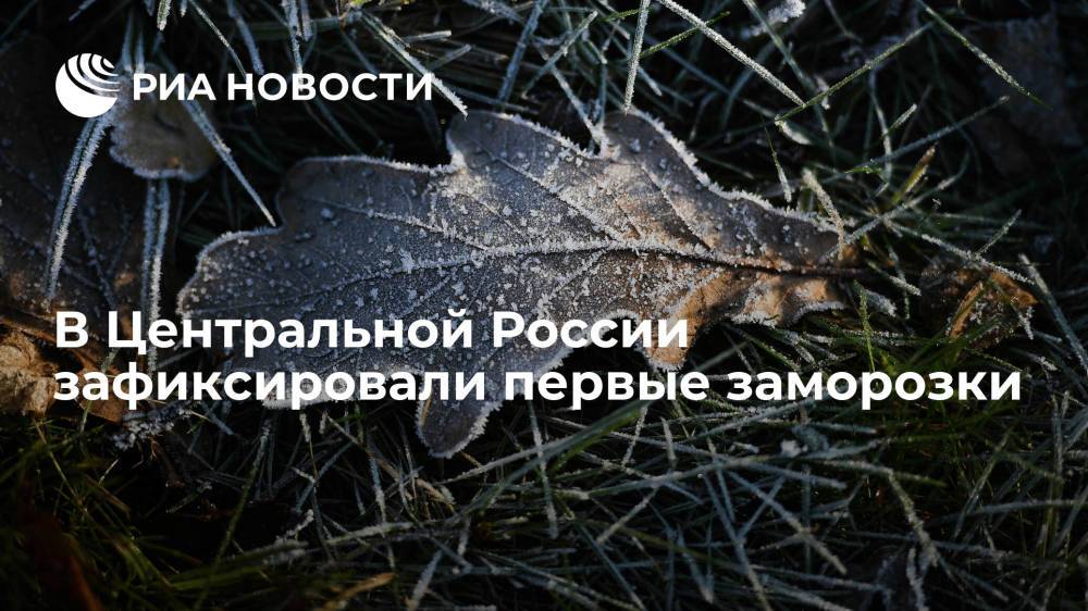 Синоптик "Фобоса": в Центральной России зафиксировали первые заморозки
