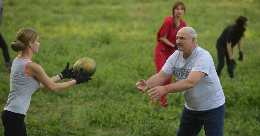 "Это не пиар". Лукашенко рассказал, зачем выращивает арбузы (видео)