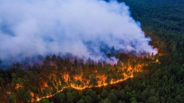 Россия в огне! Во сколько обходятся масштабные пожары в Сибири?