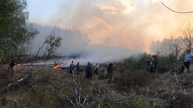 В Баймакском районе локализован еще один лесной пожар