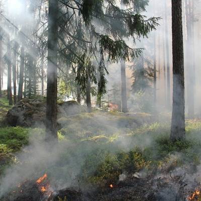 Природный пожар под Первоуральском угрожает садовому товариществу