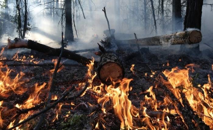 Большинство природных пожаров в Свердловской области потушены или локализованы