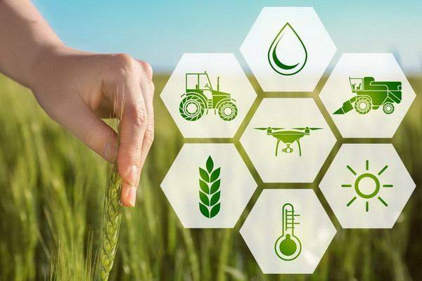 Агентство аграрных услуг Азербайджана намерено расширить применение инноваций в сельском хозяйстве