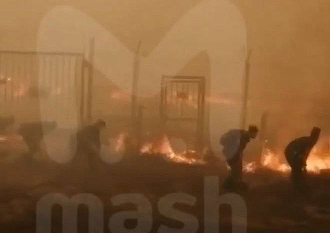 Лесные пожары подобрались вплотную к КПП на въезде в Саров
