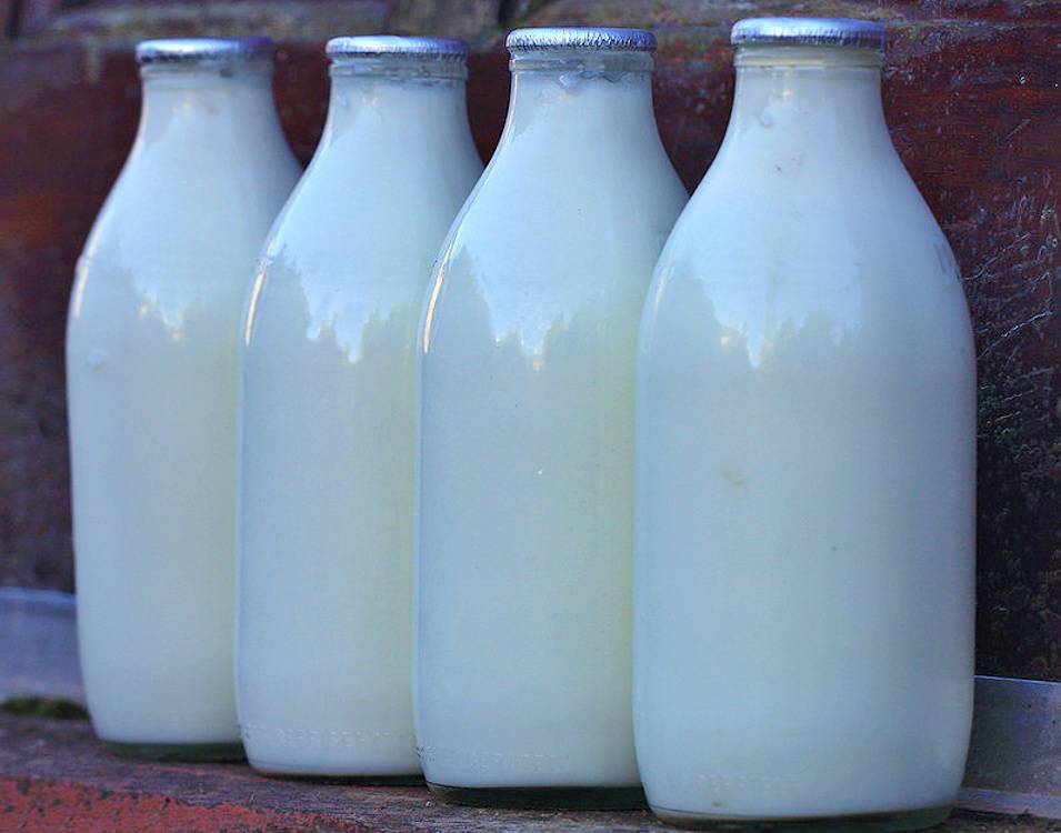 Союзмолоко" предупредило о дефиците сырого молока