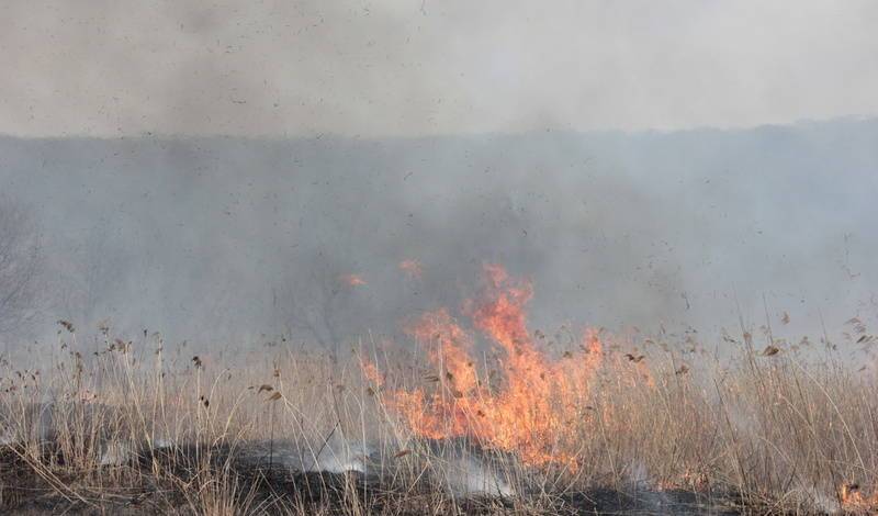 В ЦУР Башкирии дали подробный отчет о ситуации с лесными пожарами в регионе