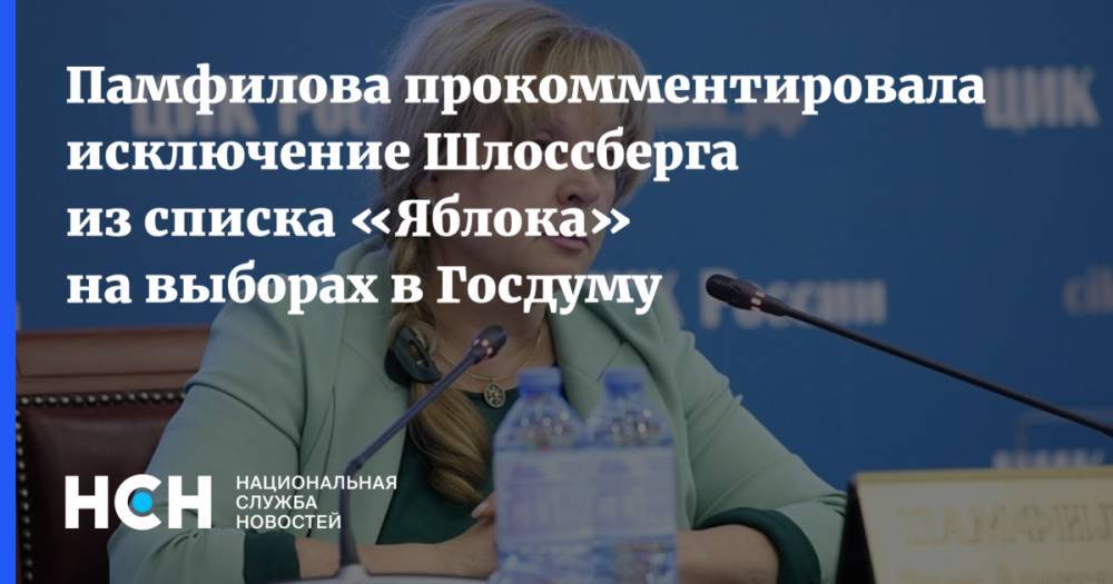 Памфилова прокомментировала исключение Шлоссберга из списка «Яблока» на выборах в Госдуму