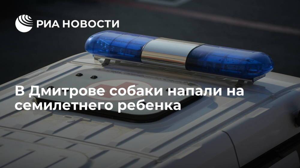 Собаки напали на семилетнего ребенка в Дмитрове, прокуратура проводит проверку