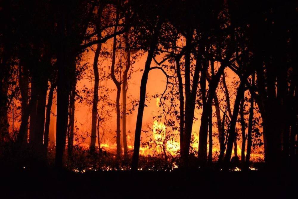 В Башкирии тушат восемь очагов природных пожаров