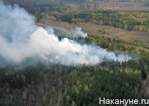 В Свердловской области возбуждены уголовные дела после поджогов лесов
